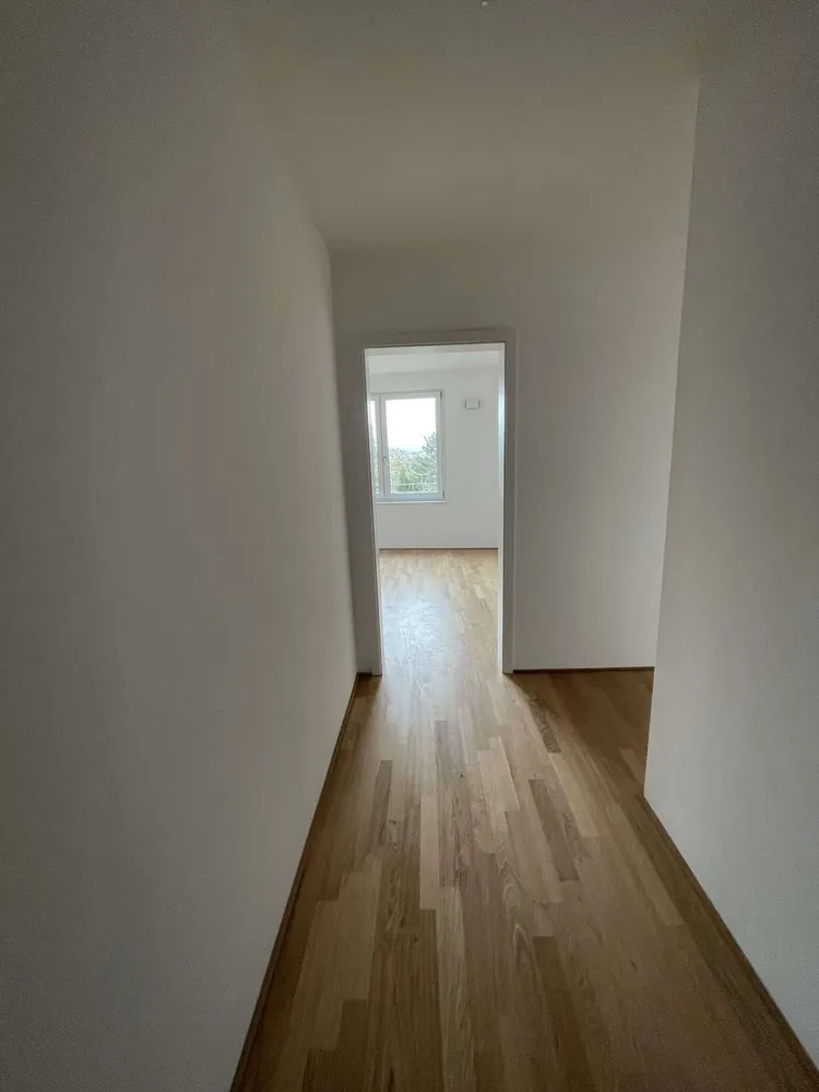 3 Zimmer Wohnung mit 90 m² in Mainz – Bild 3
