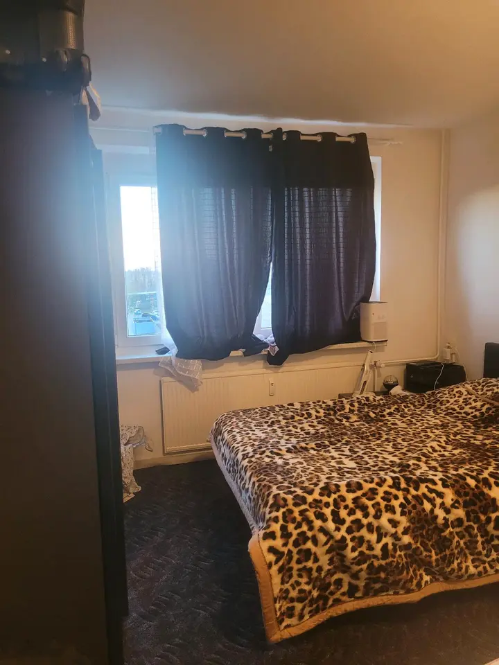 3 Zimmer Wohnung mit 62 m² in Neubrandenburg – Bild 6