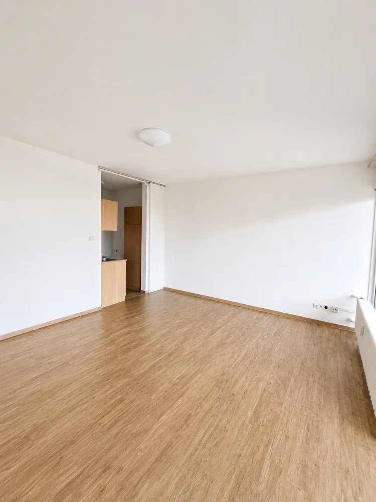 1 Zimmer Wohnung mit 34 m² in Ludwigshafen am Rhein – Bild 2