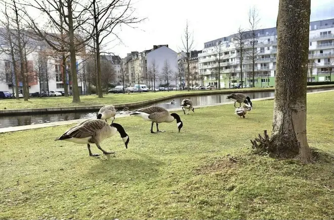 WG-Zimmer mit 20 m² in Düsseldorf – Bild 3