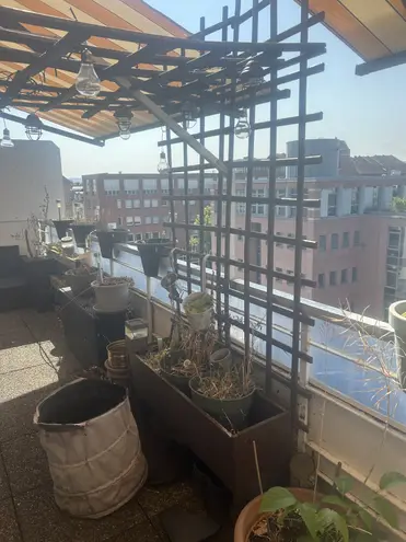 3 Zimmer Wohnung mit 90 m² in Karlsruhe – Bild 6