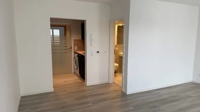 1 Zimmer Wohnung mit 34 m² in Dresden – Bild 3