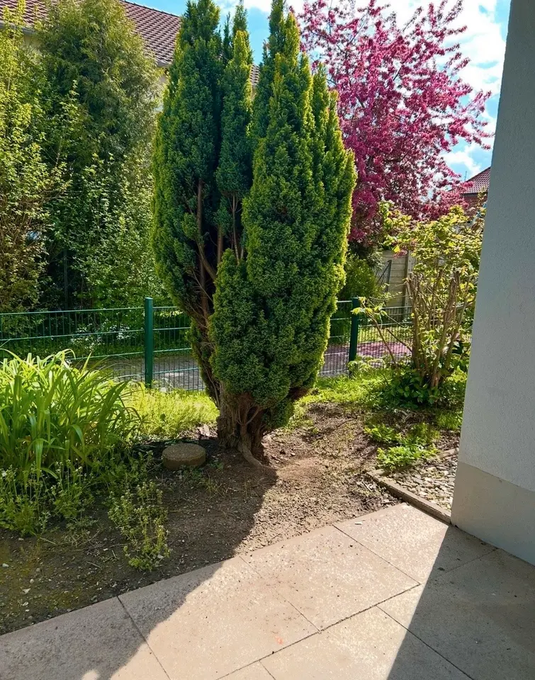 3 Zimmer Wohnung mit 50 m² in Göttingen – Bild 4