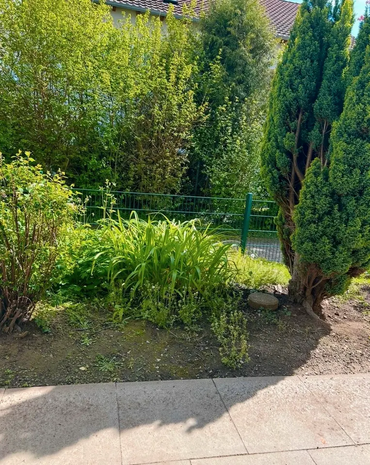3 Zimmer Wohnung mit 50 m² in Göttingen – Bild 5