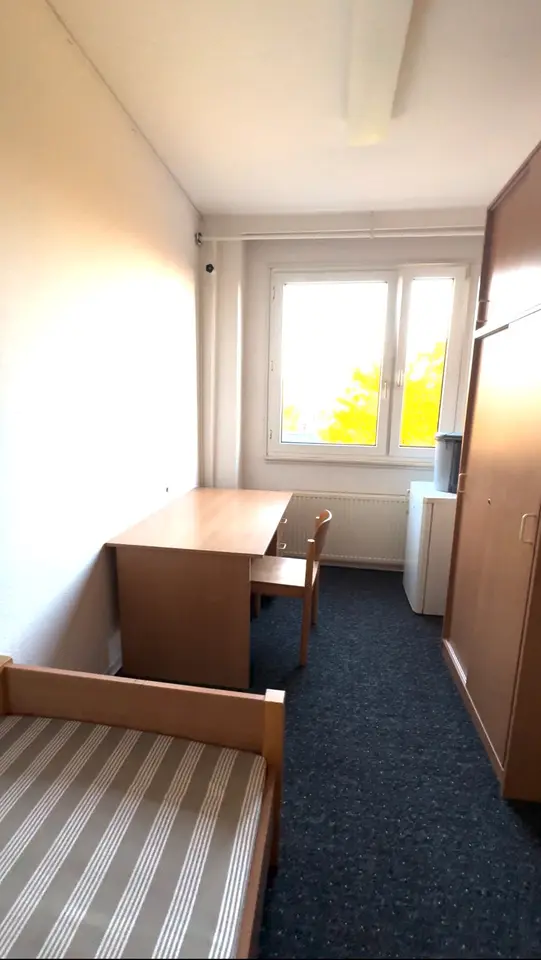 WG-Zimmer mit 11 m² in Dresden – Bild 1