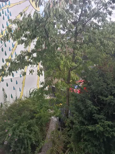 4 Zimmer Wohnung mit 89 m² in Duisburg – Bild 2