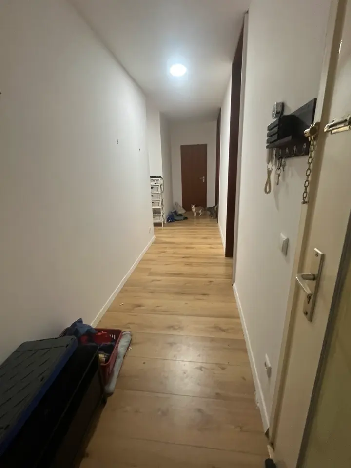Studio mit 35 m² in Wiesbaden – Bild 7