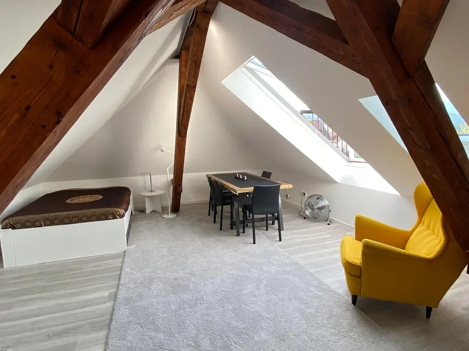 Studio mit 33 m² in Freiburg im Breisgau – Bild 5