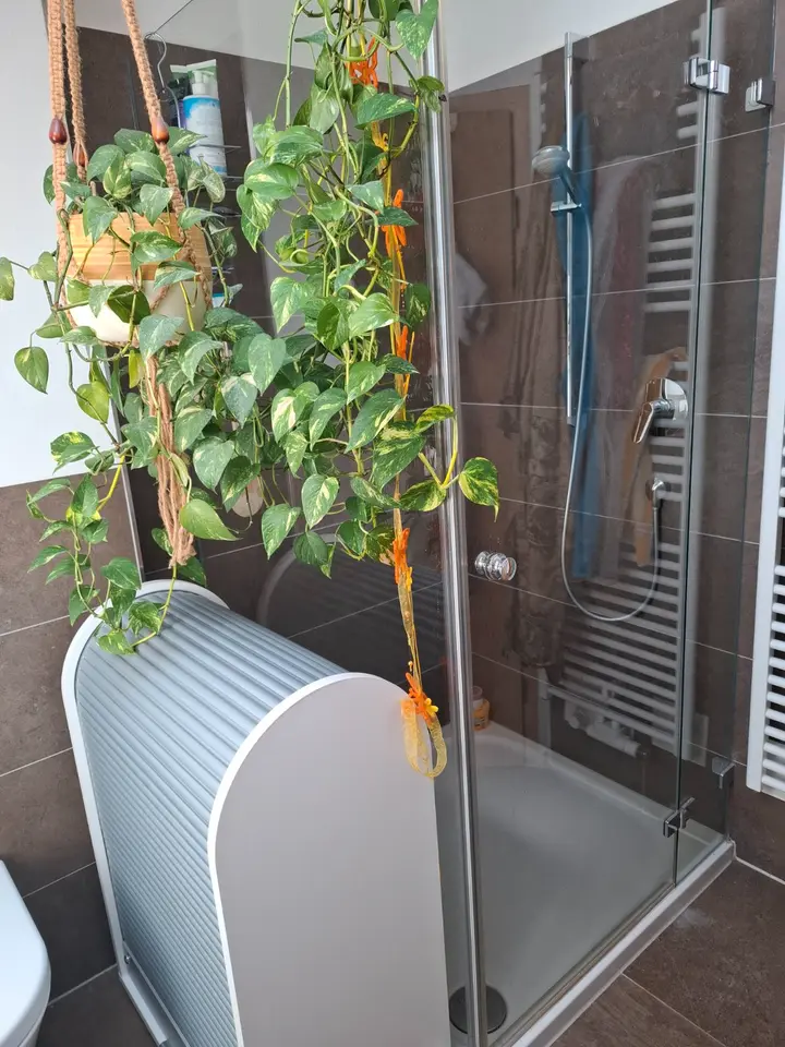 2 Zimmer Wohnung mit 38 m² in Rosenheim – Bild 3