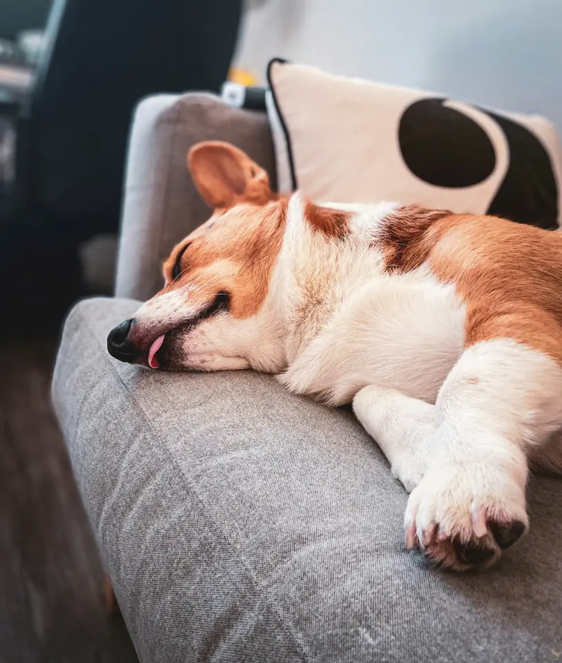 5 Zimmer Haus mit 176 m² in Herford – Bild 10