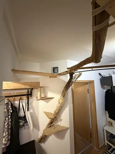 5 Zimmer Wohnung mit 126 m² in Chemnitz – Bild 6