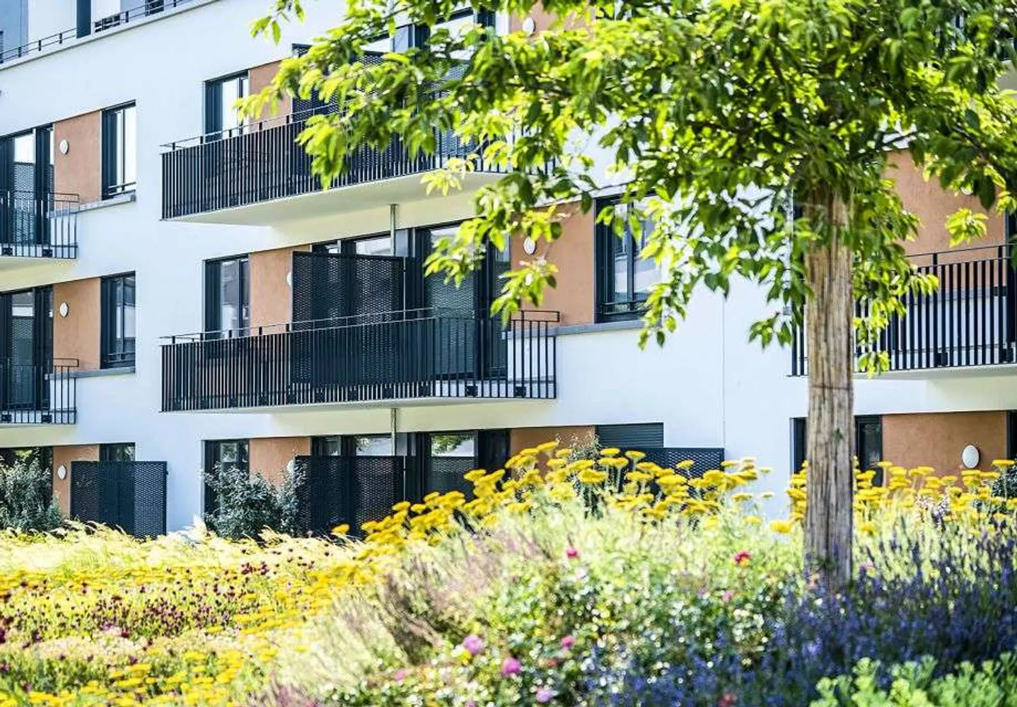 4 Zimmer Wohnung mit 120 m² in Offenbach am Main – Bild 4