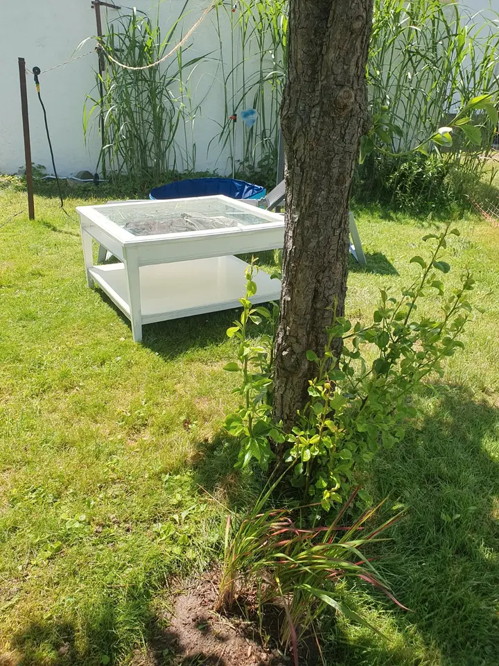 WG-Zimmer mit 50 m² in Dortmund – Bild 4