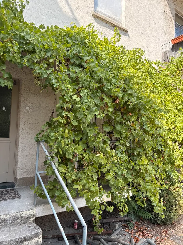 2 Zimmer Wohnung mit 47 m² in Darmstadt – Bild 3