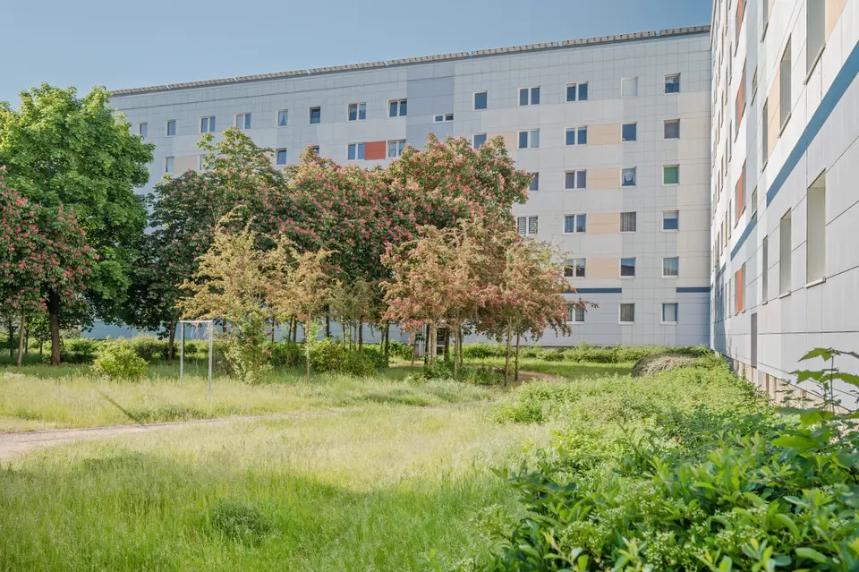 3 Zimmer Wohnung mit 60 m² in Neubrandenburg – Bild 4