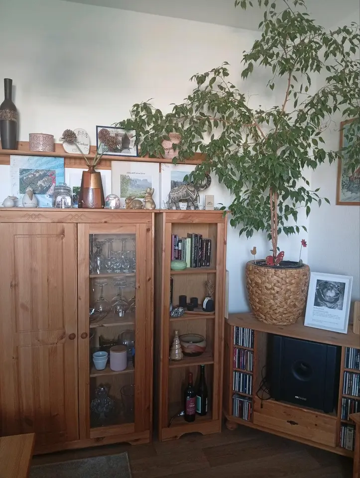 2 Zimmer Wohnung mit 55 m² in Jena – Bild 9