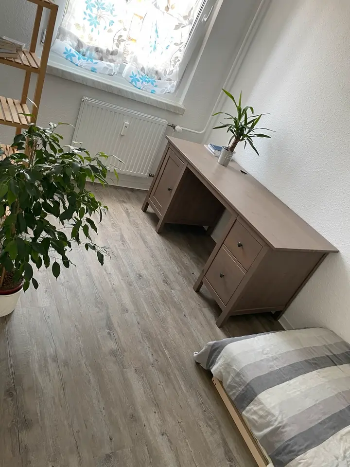 2 Zimmer Wohnung mit 45 m² in Dresden – Bild 3