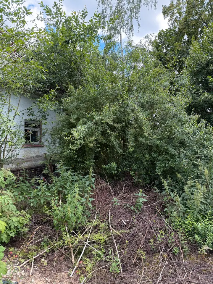 3 Zimmer Haus mit 89 m² in Bamberg – Bild 3