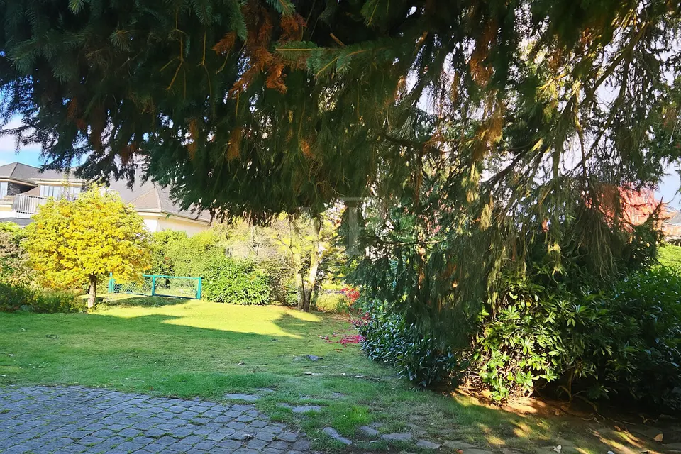 5 Zimmer Haus mit 227 m² in Oberursel – Bild 10