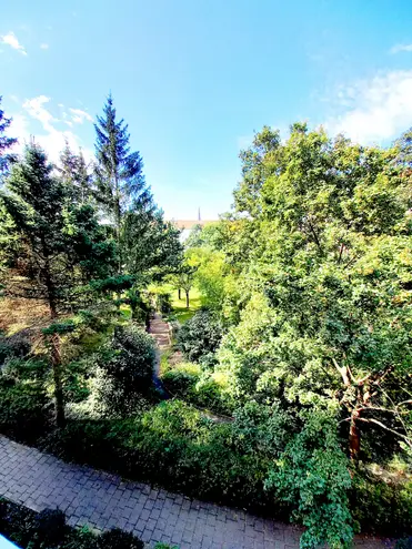 2 Zimmer Wohnung mit 59 m² in Dresden – Bild 6