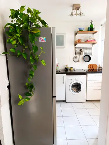 1 Zimmer Wohnung mit 36 m² in Wiesbaden – Bild 4