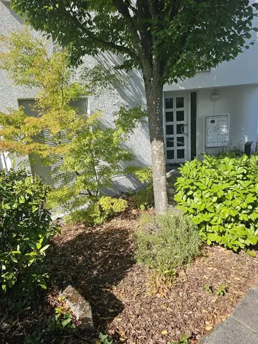 3 Zimmer Wohnung mit 91 m² in Wiesbaden – Bild 4