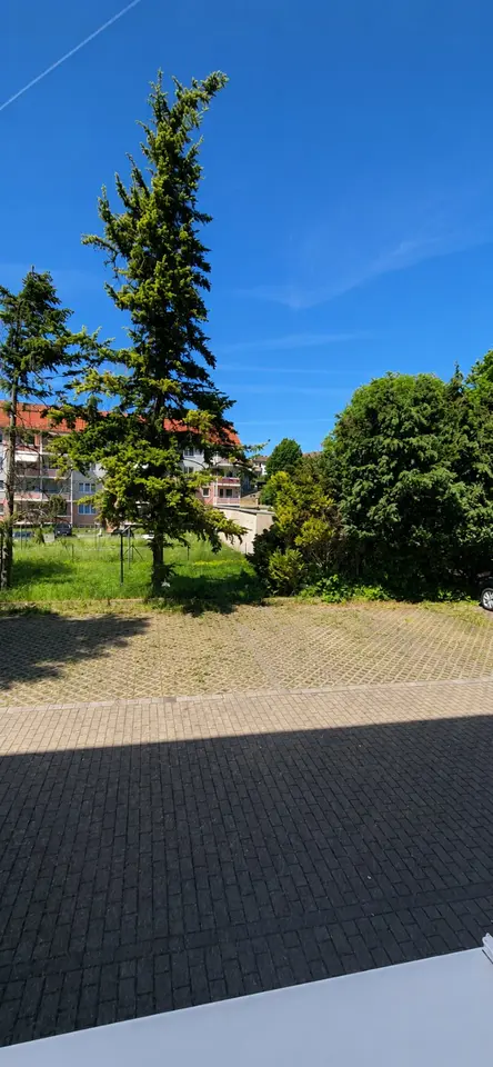 Studio mit 34 m² in Nordhausen – Bild 5