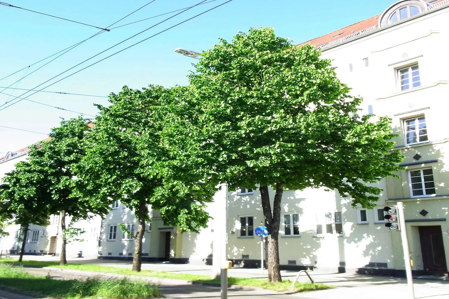 2 Zimmer Wohnung mit 46 m² in Leipzig – Bild 2