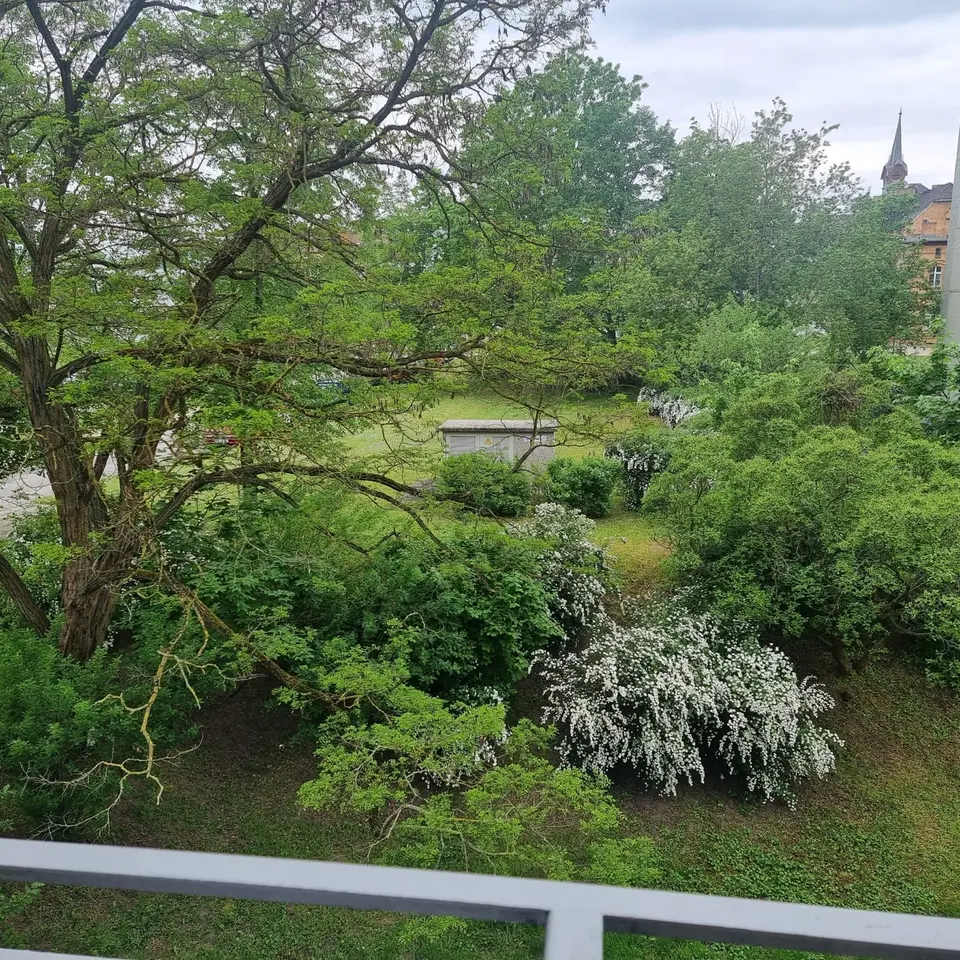 2 Zimmer Wohnung mit 50 m² in Frankfurt (Oder) – Bild 8