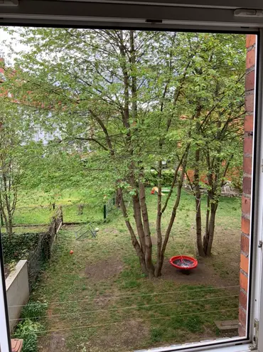 3 Zimmer Wohnung mit 65 m² in Erfurt – Bild 4