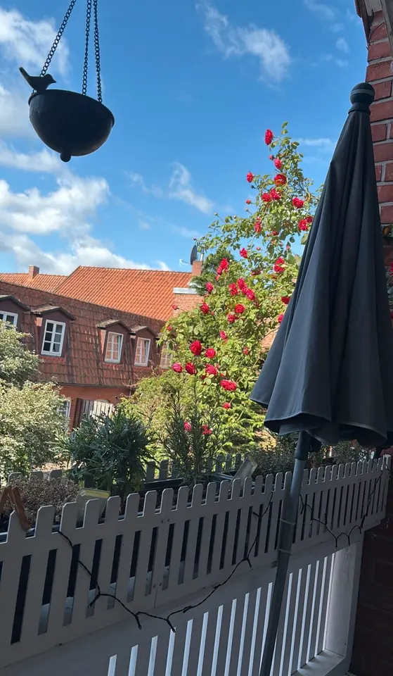 WG-Zimmer mit 80 m² in Lüneburg – Bild 5