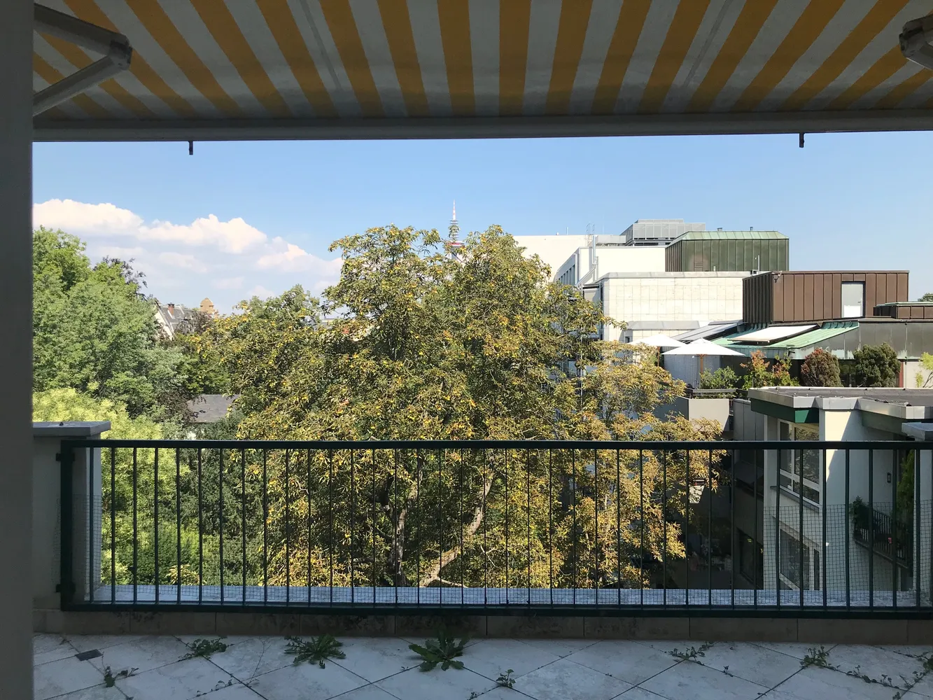 4 Zimmer Wohnung mit 175 m² in Frankfurt am Main – Bild 1