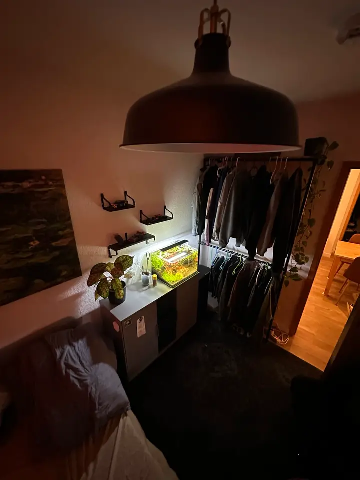 2 Zimmer Wohnung mit 25 m² in Rostock – Bild 2