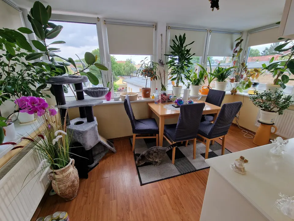 2 Zimmer Wohnung mit 68 m² in Oranienburg – Bild 3