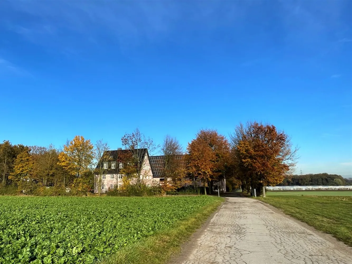 5 Zimmer Wohnung mit 155 m² in Bottrop – Bild 6