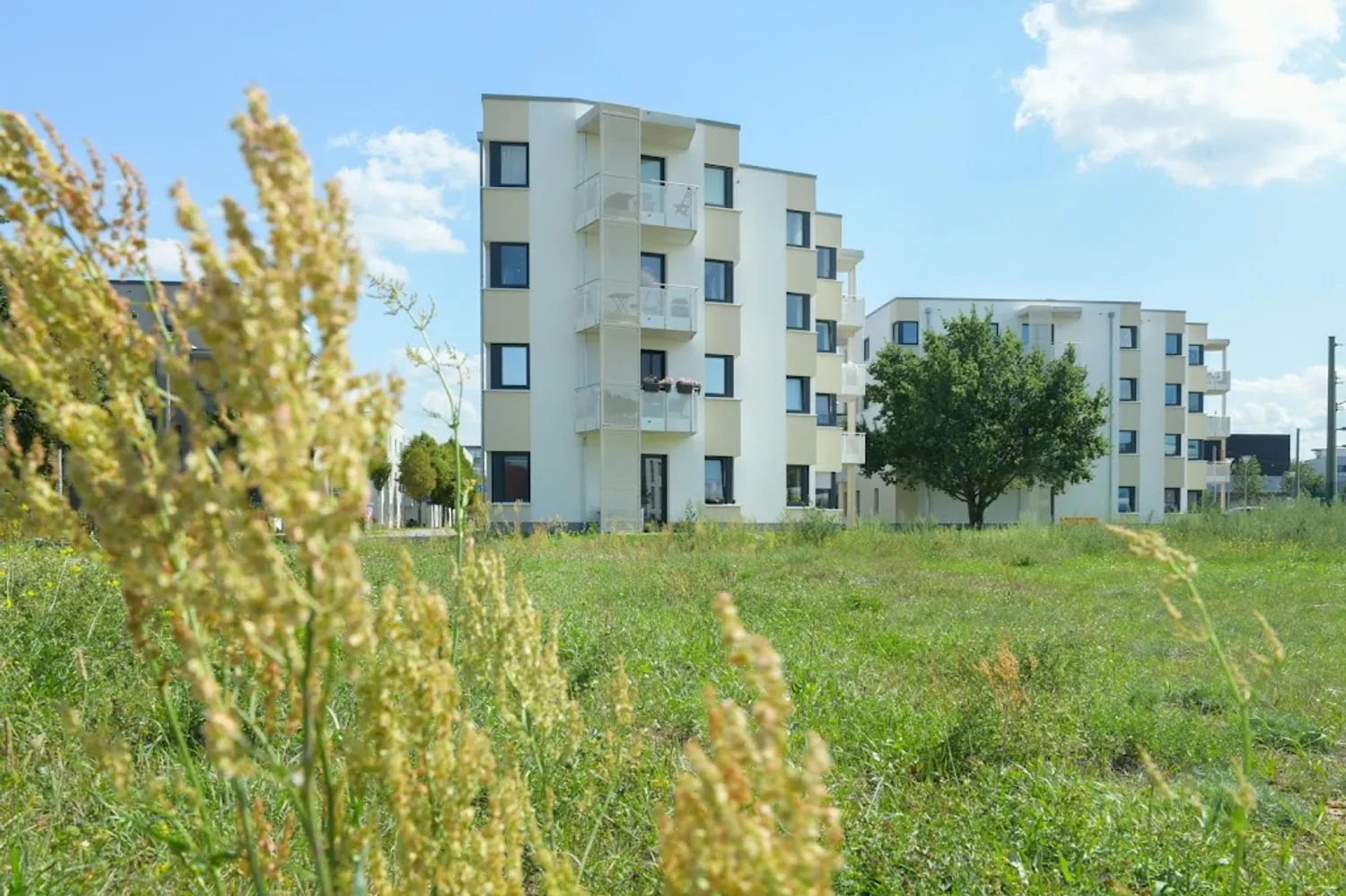 3 Zimmer Wohnung mit 80 m² in Berlin – Bild 6