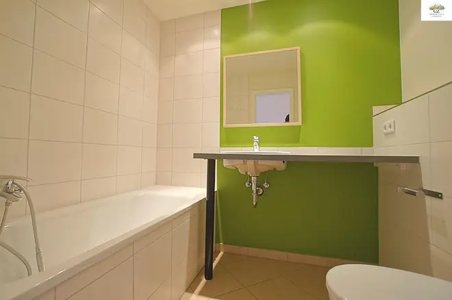 1 Zimmer Wohnung mit 21 m² in Dresden – Bild 4
