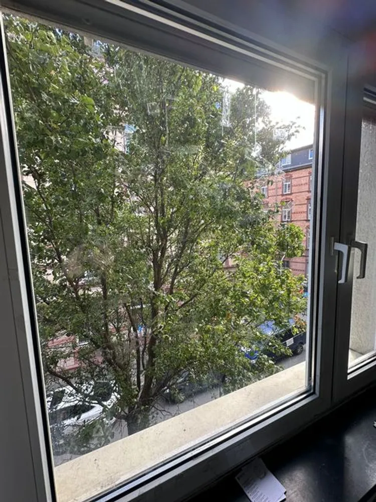 1 Zimmer Wohnung mit 36 m² in Ludwigshafen am Rhein – Bild 4