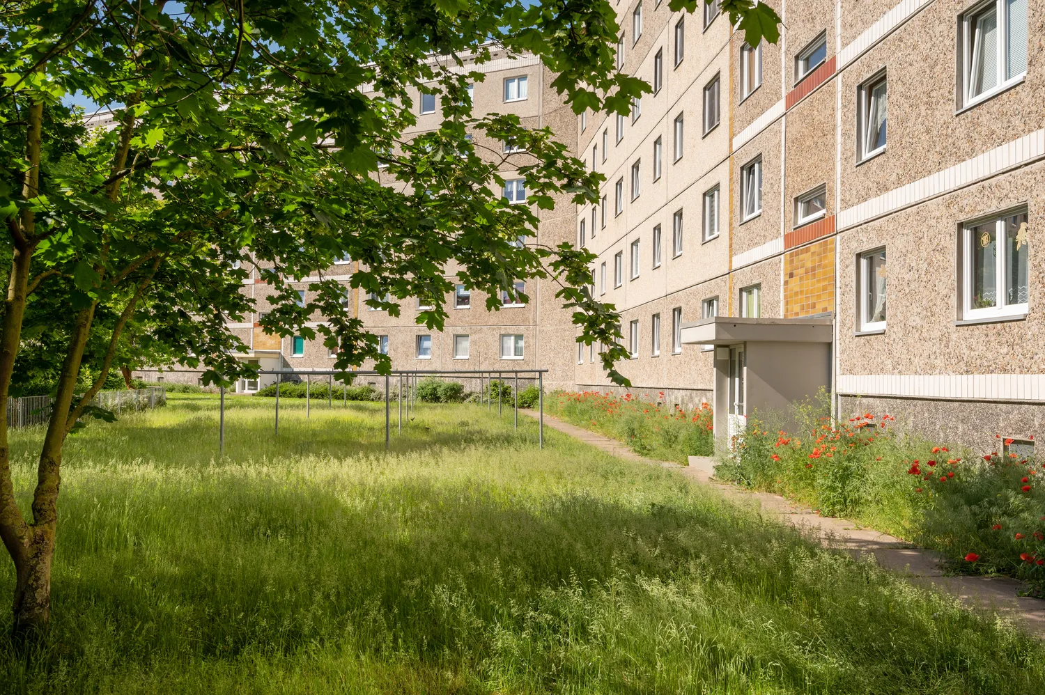 4 Zimmer Wohnung mit 75 m² in Neubrandenburg – Bild 5