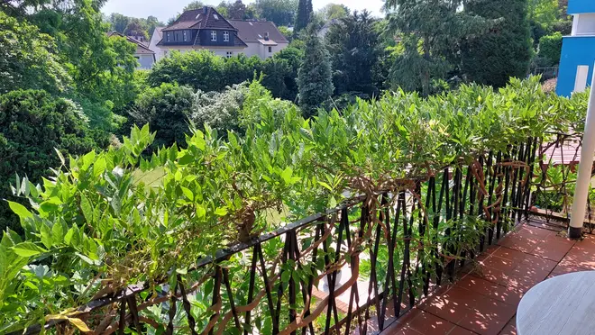 4 Zimmer Wohnung mit 187 m² in Mülheim an der Ruhr – Bild 6
