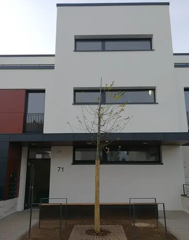 2 Zimmer Wohnung mit 64 m² in Darmstadt – Bild 2