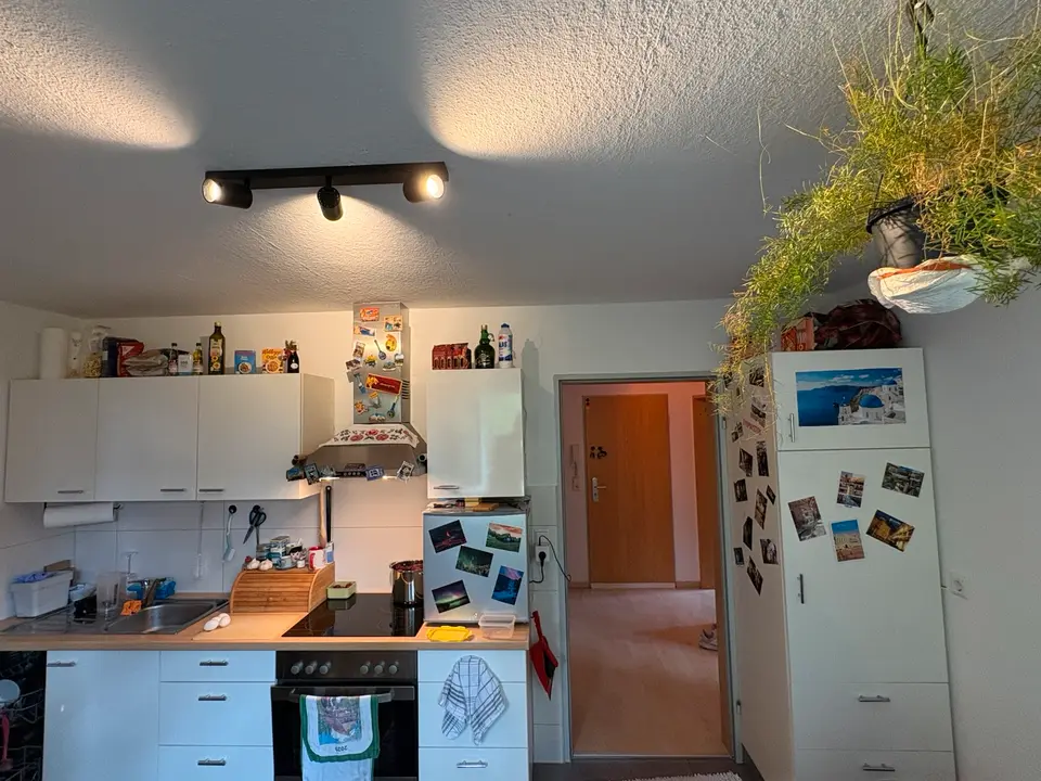 2 Zimmer Wohnung mit 65 m² in Waldshut-Tiengen – Bild 2