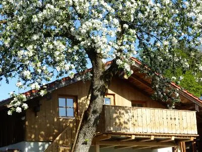 2 Zimmer Wohnung mit 38 m² in Rosenheim – Bild 3