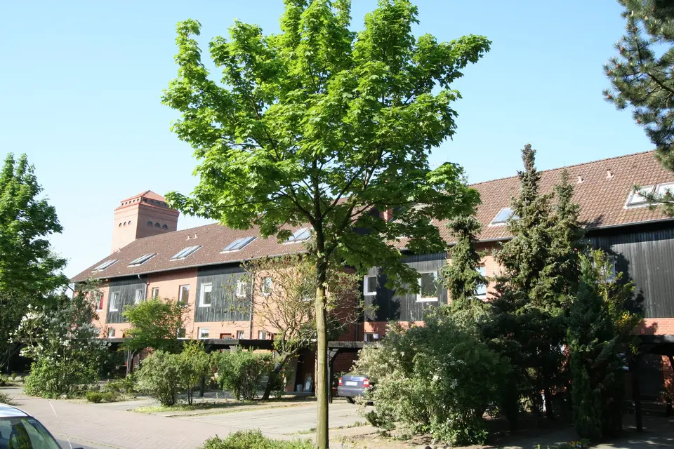 5 Zimmer Haus mit 115 m² in Peine – Bild 8