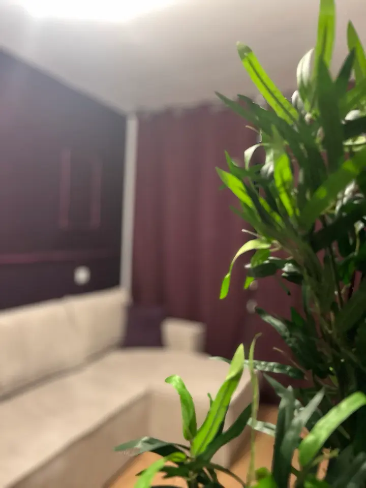 2 Zimmer Wohnung mit 45 m² in Saarbrücken – Bild 6