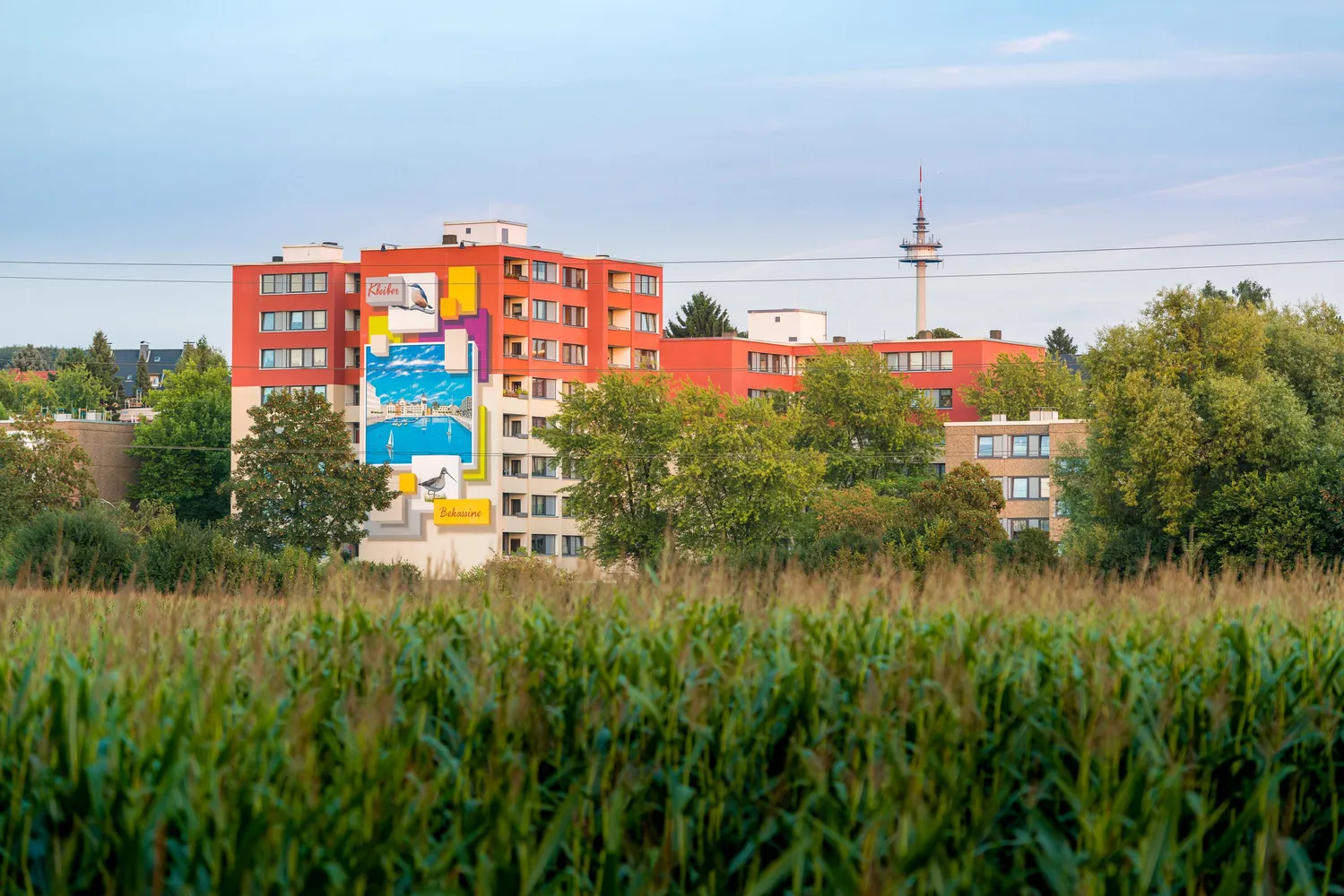 2 Zimmer Wohnung mit 67 m² in Dortmund – Bild 4