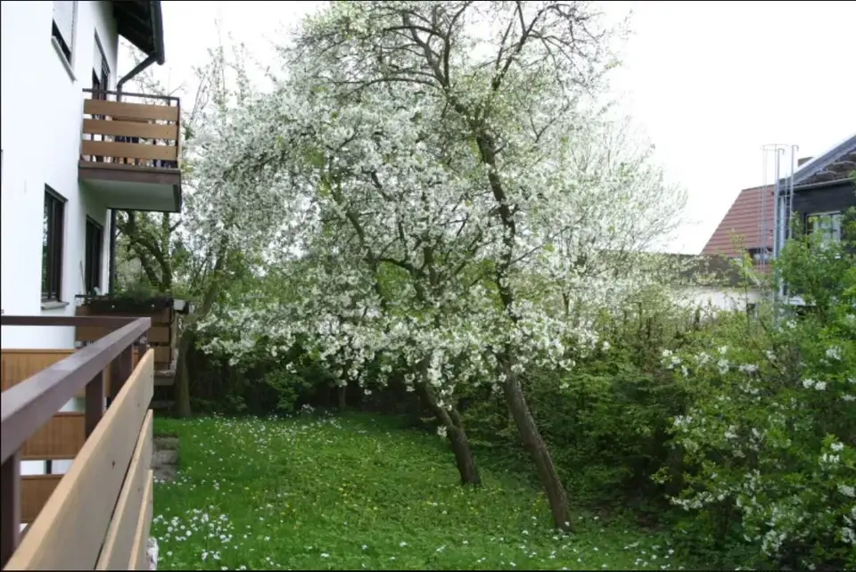 2 Zimmer Wohnung mit 38 m² in Fürth – Bild 7