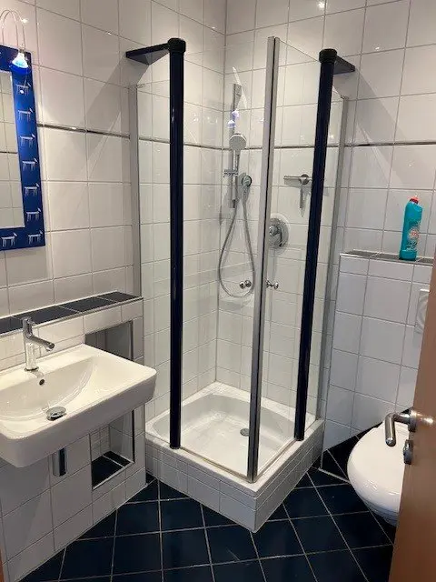 4 Zimmer Wohnung mit 210 m² in Heidelberg – Bild 6