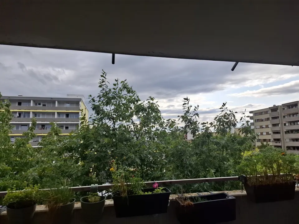 Studio mit 35 m² in Fürth – Bild 10