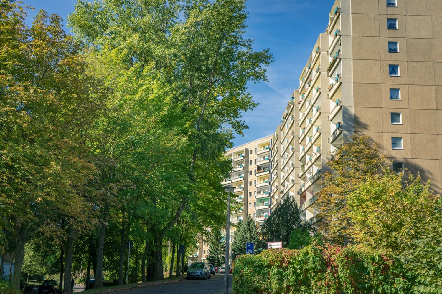 1 Zimmer Wohnung mit 32 m² in Chemnitz – Bild 4